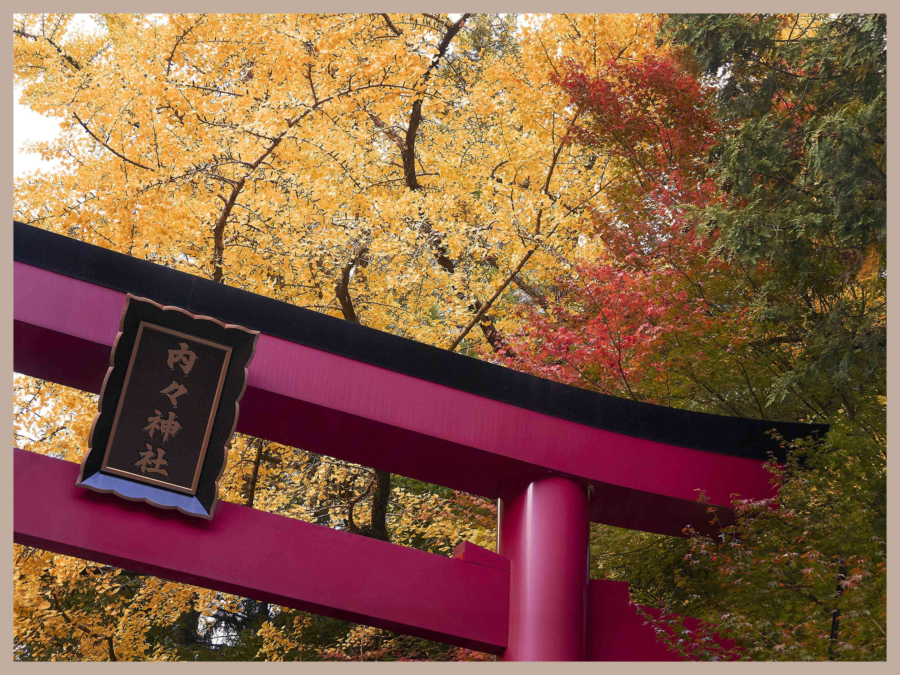 ⛩️ 현현 신사 (우츠츠 진자) 이미지 1